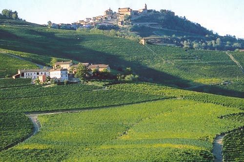 Cascina Rocca - Guest House Castiglione Falletto Exterior photo